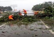 Huracán Irma provoca destrozos en el Cibao