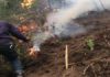 Los Incendios forestales en la Cordillera Central afectan miles de tareas