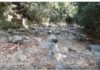 La sequía deja seco río Masacre en Castellar, Dajabón