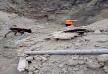 Encuentran quinto obrero muerto en derrumbe de Santiago