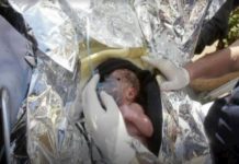 Muere bebé hallado en contenedor en Puerto Plata