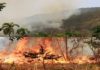 Fuego afecta área boscosa entre municipios de Imbert y Altamira