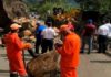 Derrumbe en carretera Jarabacoa- Constanza afecta tránsito vehículos