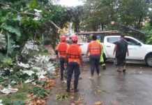 Fuertes vientos derriban árboles en Puerto Plata; lluvias desbordan ríos