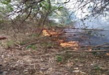 Reportan varios incendios forestales en Dajabón y Santiago Rodríguez