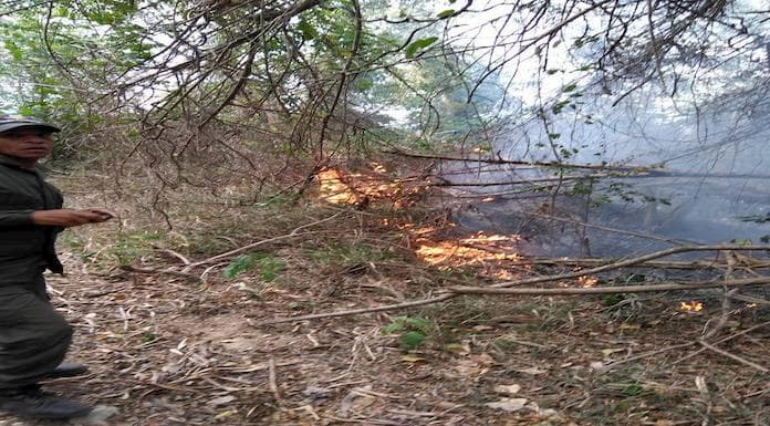 Reportan varios incendios forestales en Dajabón y Santiago Rodríguez