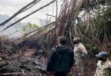 Fuego de Estero Hondo, Puerto Plata destruyó manglares centenarios