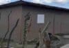 Fundación Palmera entrega vivienda remodelada en Jarabacoa