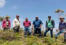 Inspeccionan reforestación en Río Yaque del Norte y Jimenoa