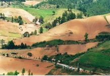 Ministerio Medio Ambiente reitera cese definitivo cultivo en Valle Nuevo