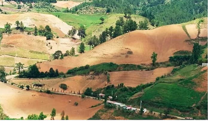 Ministerio Medio Ambiente reitera cese definitivo cultivo en Valle Nuevo