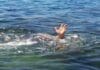Muere adolescente cuando se bañaba en el río Yaque del Norte