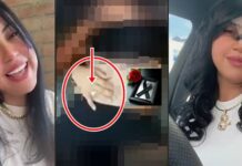 MP apelará sentencia que descargó a asesinos de mujer en Santiago