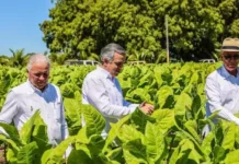 Iván Hernández dice que industria del tabaco genera más de 122,000 empleos directos en RD