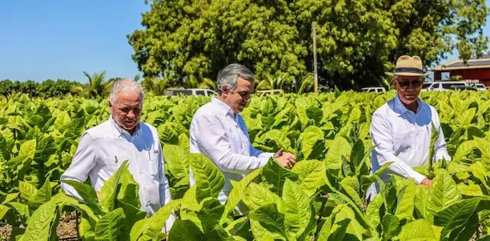 Director-INTABACO-afirma-tabaco-dominicano-llega-