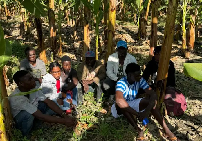 Apresan en Montecristi a ocho haitianos escondidos entre matorrales