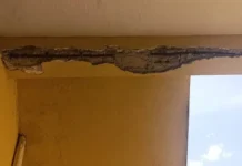 Alarma en Puerto Plata: una escuela al borde del colapso y el Estado guarda silencio