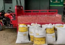 El Ejército decomisa más de 98 mil cigarrillos en la frontera norte de República Dominicana