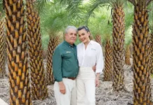 Hacienda Luz Marina revoluciona el paisajismo dominicano con su propuesta boutique de palmeras decorativas de alta gama