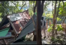 Destruyen casuchas construidas en terrenos de la antigua Chocolatera en Puerto Plata