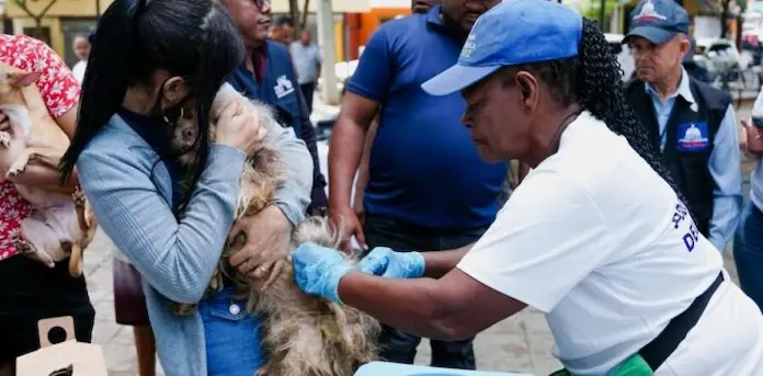 Salud-Publica-vacunara-de-forma-gratuita-a-perros-y-gatos-contra-la-rabia-