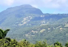 Medio Ambiente evalúa Reserva de Biosfera para la Cordillera Septentrional