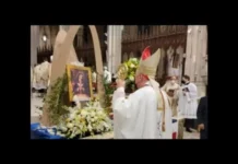 El papa León IV acepta la renuncia del cardenal de Nueva York