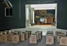 Golpe al contrabando en Dajabón: el Ejército dominicano incauta 270.000 cigarrillos