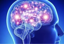 El cerebro humano utiliza pequeños daños como dosis protectora para prevenir afectaciones mayores