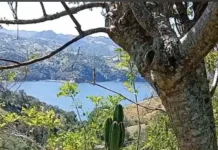 Familias piden al Ministerio de Medio Ambiente frenar apertura de una vía en Tavera