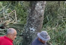 Acusan a grupo encabezado por esposo de jueza de violar propiedad privada en la presa de Tavera