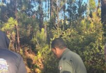 Fuerza Aérea evacuó dos turistas desde el Pico Duarte en operativo de emergencia