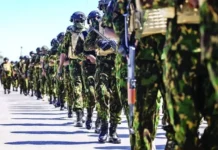 La cruzada de Bukele en Haití: cuando la retórica de seguridad se topa con la compleja maraña de las bandas armadas