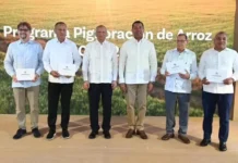 Banreservas apuesta a pignoración de arroz 2026