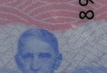 ¿Qué significa la gota de sangre en la nueva cédula de identidad?