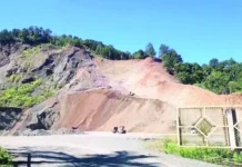 Comunitarios de La Vega denuncian graves daños ambientales por tala indiscriminada