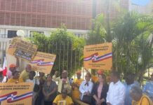 Coalición advierte Gobierno pretende reducir pensiones en reforma a Ley 87-01