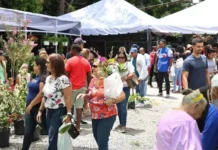 Jarabacoa celebra por todo lo alto los 15 años de su emblemático Festival de las Flores