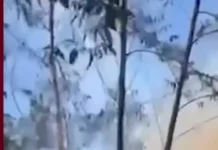 Incendio forestal permanece bajo control en comunidades de San José de las Matas