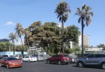 Avenida George Washington vuelve a la normalidad tras incendio que dejó dos muertos
