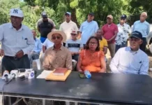 Cosecheros denuncian tabaco acumulado y culpan a las importaciones; Intabaco anuncia investigación
