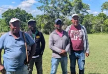Criadores denuncian robo de animales en Dajabón y reclaman mayor seguridad