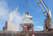 Puerto Plata: Denuncian afecciones respiratorias por el polvillo del maíz desembarcado en muelle