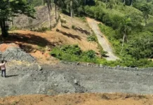El cambio de uso del suelo que preocupa en la cuenca del Jaya