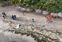 Puerto Plata: recuperado cuerpo de joven de 16 años desaparecido en playa Costambar