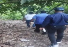 Policía investiga muerte de mujer en Cenoví, SFM