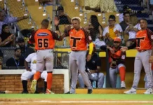 Noel, Celestino y bullpen dan triunfo a los Toros sobre Águilas Cibaeñas